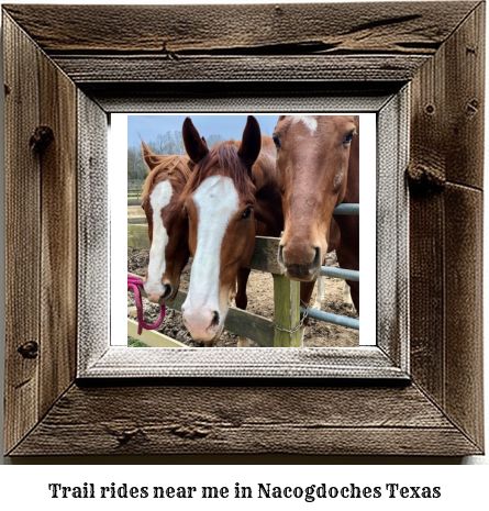 trail rides near me in Nacogdoches, Texas